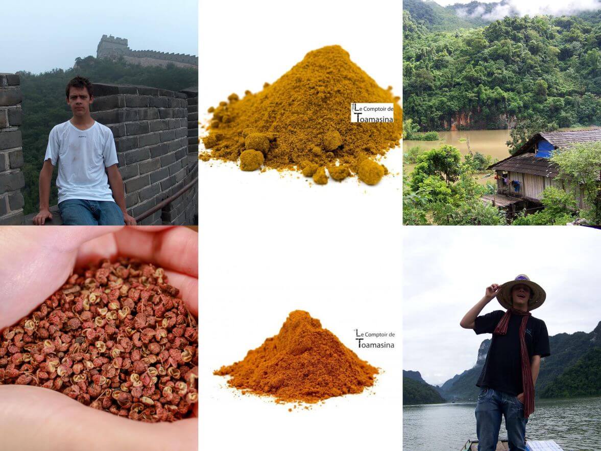 Les mélanges d'épices aux saveurs d'Asie